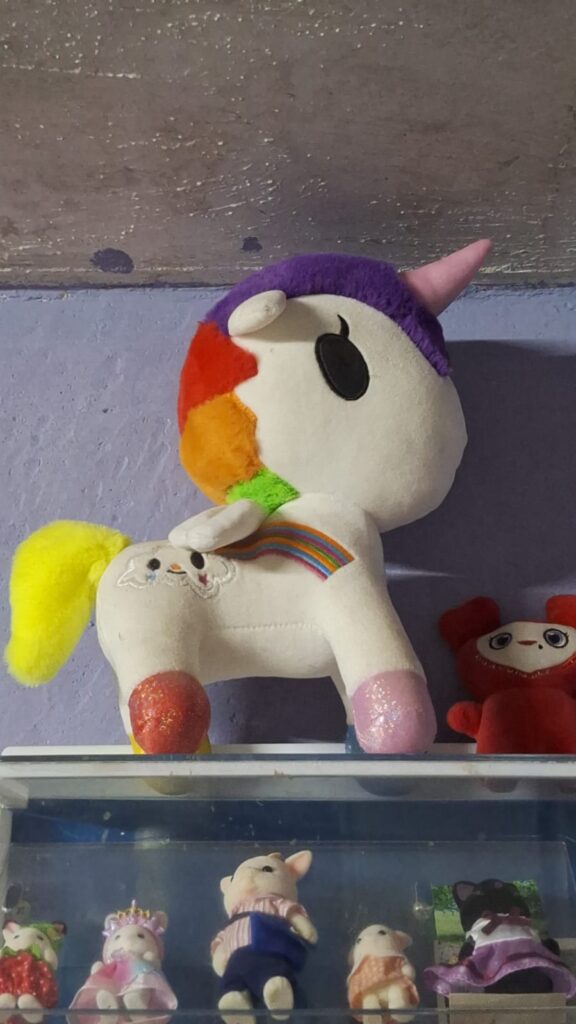 Chafi Doki ¿Todo lo que se populariza en México consigue su versión chafa?