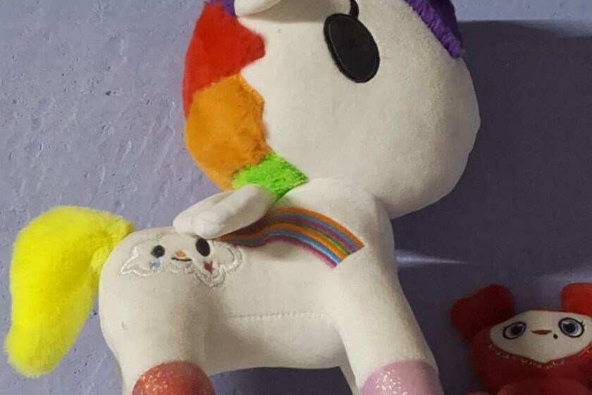 Chafi Doki ¿Todo lo que se populariza en México consigue su versión chafa?